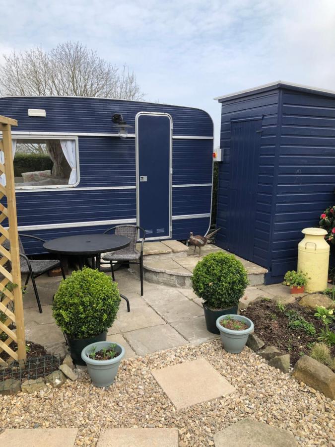 Down The Garden Path Vintage Caravan B&B , Dartmoor Newton Abbot Dış mekan fotoğraf