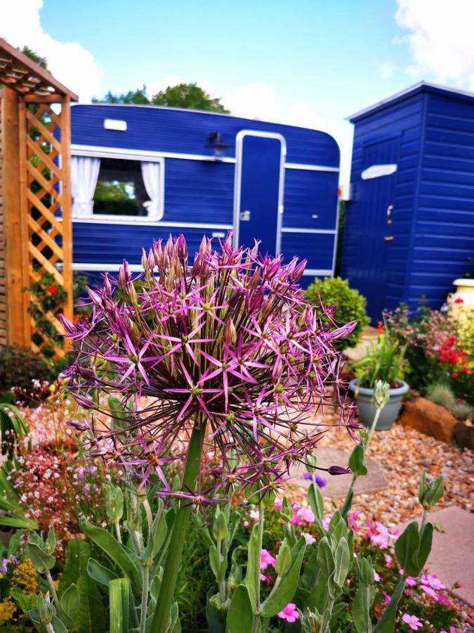 Down The Garden Path Vintage Caravan B&B , Dartmoor Newton Abbot Dış mekan fotoğraf