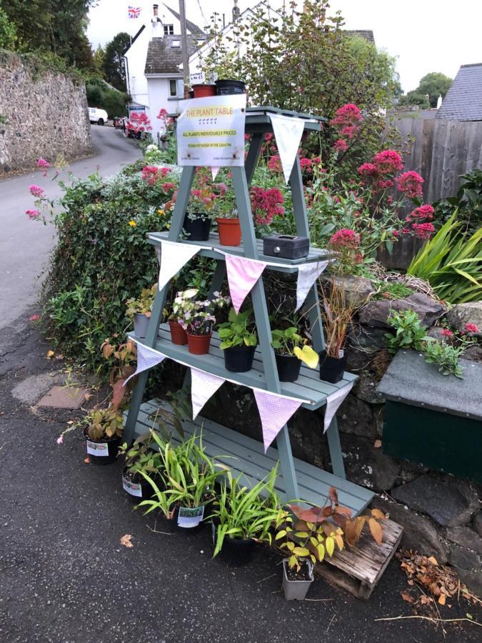 Down The Garden Path Vintage Caravan B&B , Dartmoor Newton Abbot Dış mekan fotoğraf