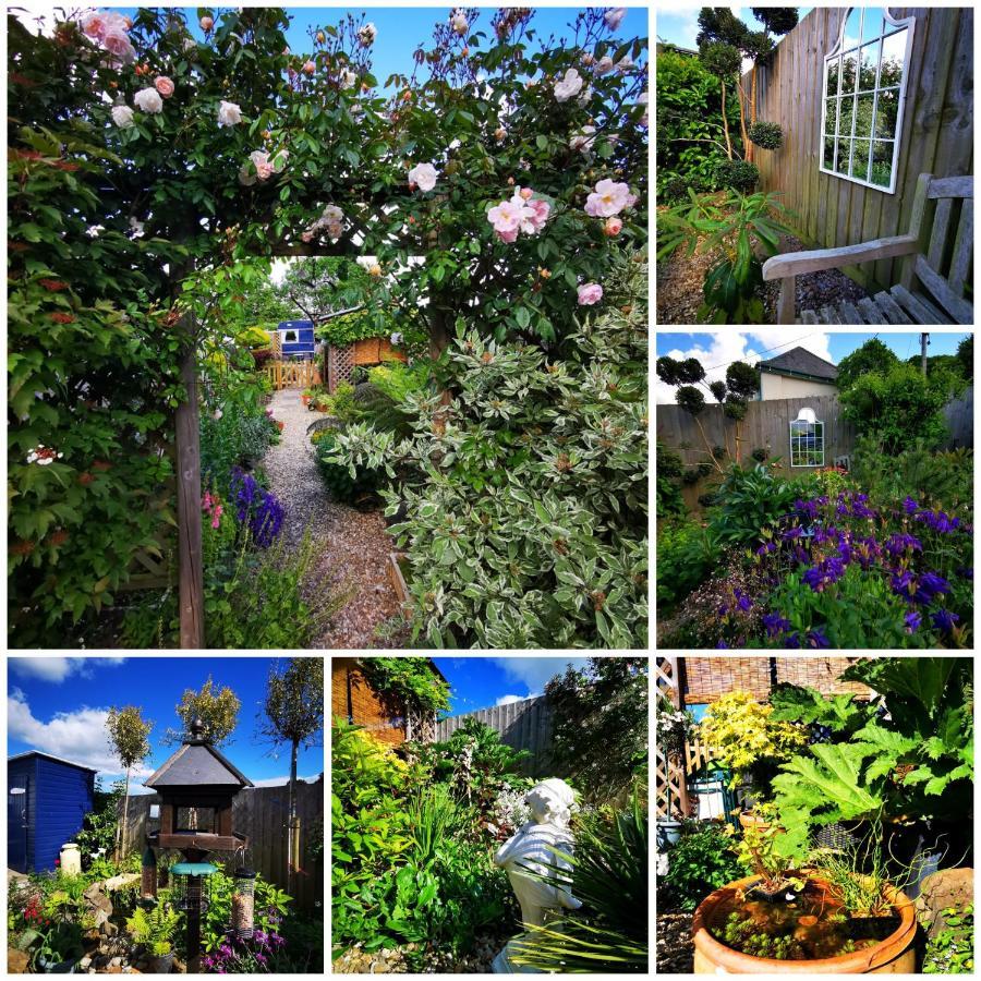 Down The Garden Path Vintage Caravan B&B , Dartmoor Newton Abbot Dış mekan fotoğraf